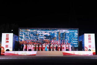 文化雷鋒情，禮贊新時(shí)代——望花區(qū)慶祝新中國成立70周年文藝匯演暨雷鋒文化核心區(qū)主題標(biāo)識、系列雕塑設(shè)計(jì)征集活動(dòng)頒獎(jiǎng)儀式圓滿舉行